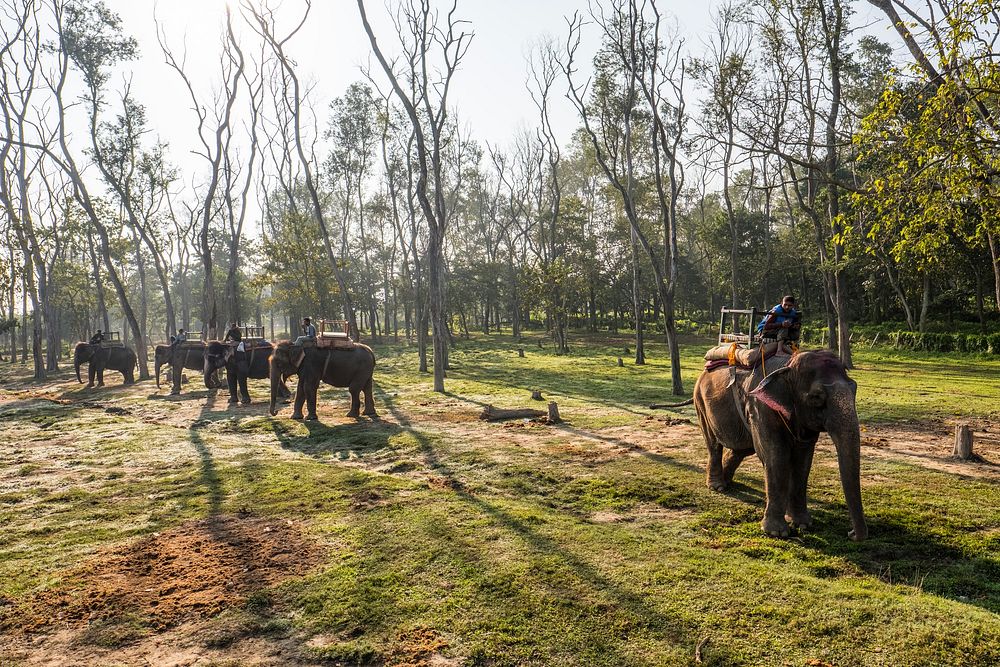 Tourists take elephant ride, Sauraha, Chitwan District, Nepal, November 2017.