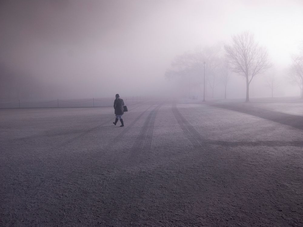 Infrared view of fog and frost at the National Mall in Washington, D.C., on Jan. 9, 2018. USDA Photo by Lance Cheung.…