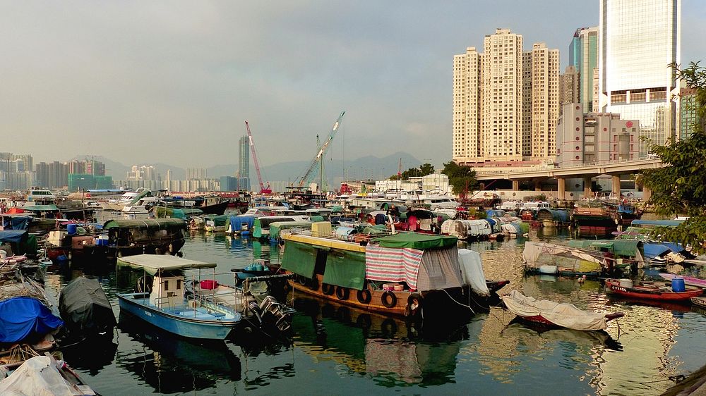 Causeway Bay Typhoon Shelter is a typhoon shelter located in Causeway Bay, Hong Kong, between the Hong Kong Island entrance…