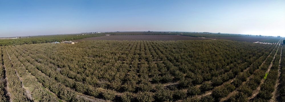 Aerial views of Forever Grateful Ranch where owner Jim Chew grows pistachios with a little help from U.S. Department of…