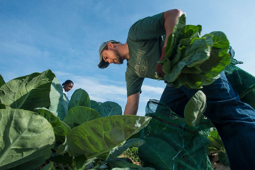 U.S. Department of Agriculture (USDA)  Rural Development’s Mark Stout and his wife Robin join federal employees from…