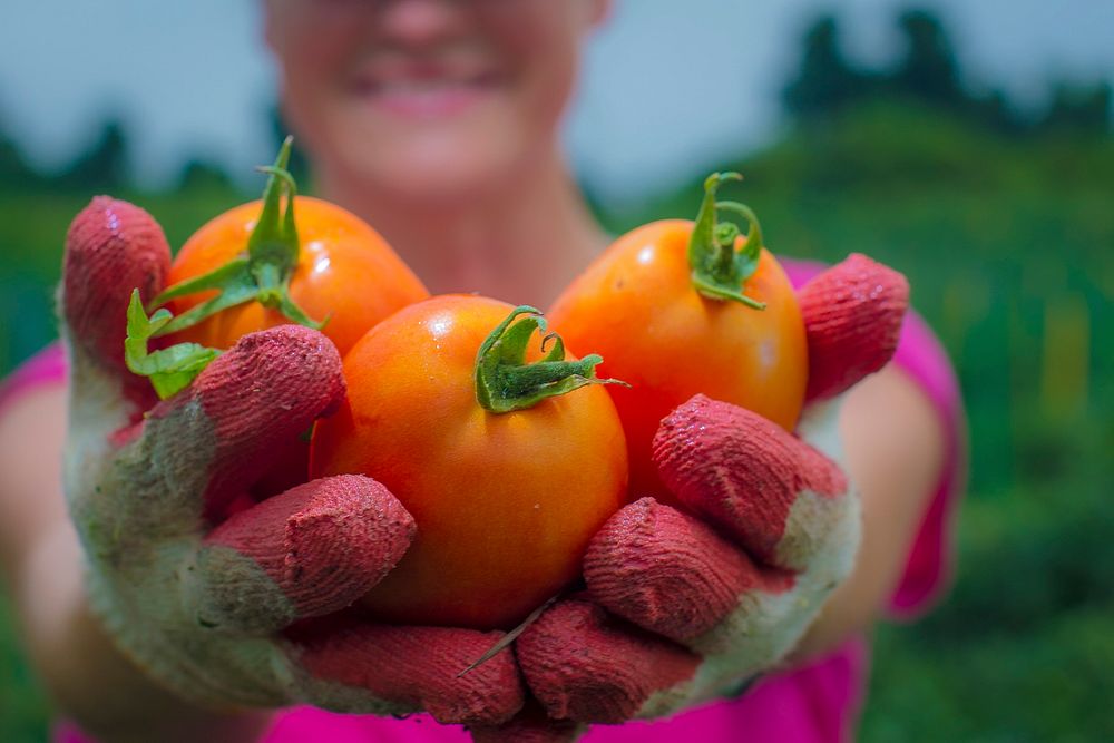 U.S. Department of Agriculture (USDA) Risk Management Agency's Stefanie Pidgeon came to Miller Farms in Clinton, Md., to…