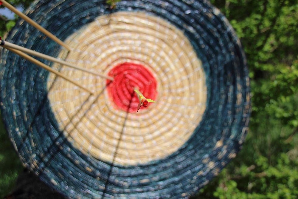 Target in middle, archery. Free public domain CC0 image.