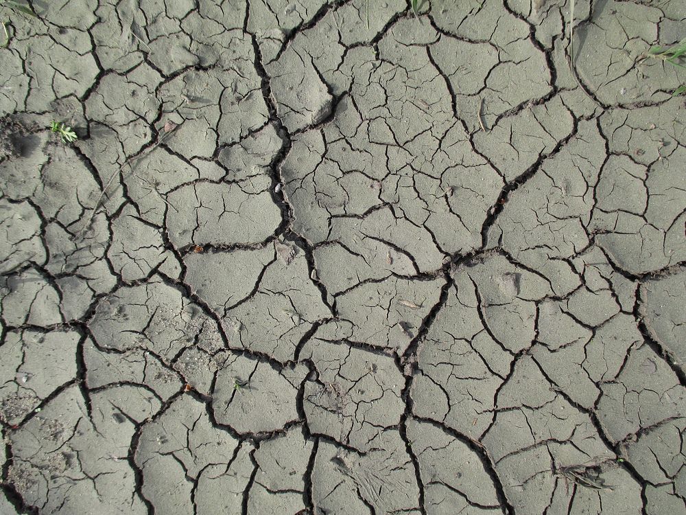 Cracked soil texture background. Free public domain CC0 photo.