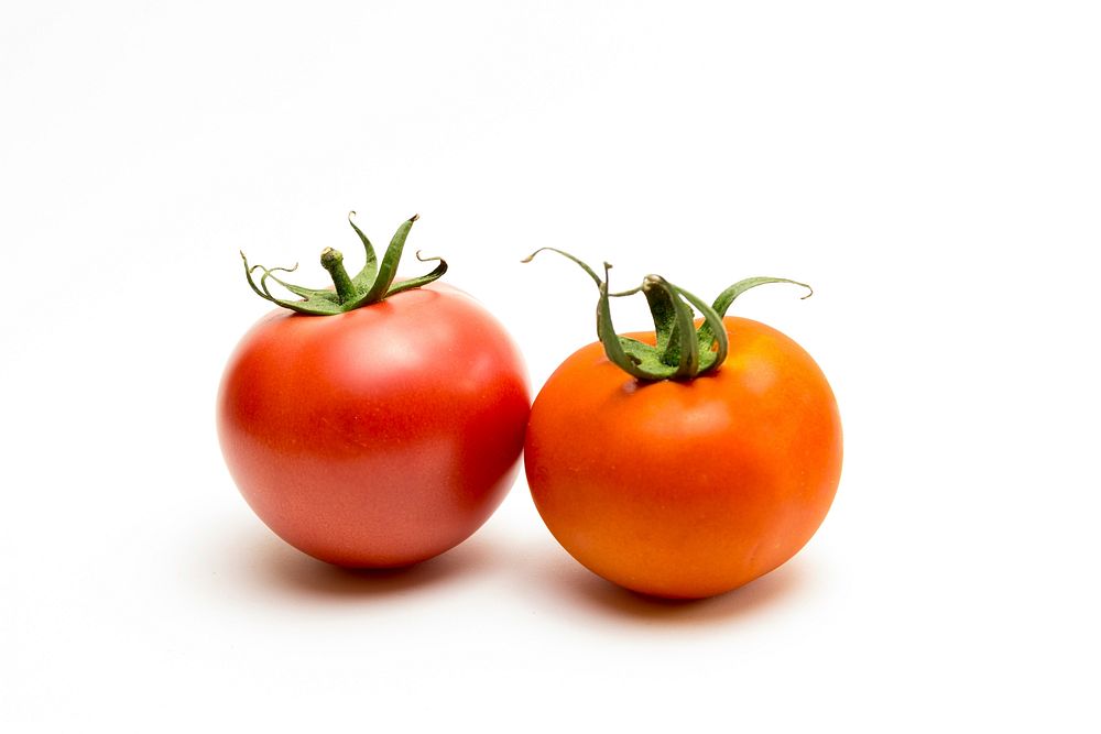 Closeup on red tomatoes on white background. Free public domain CC0 image.