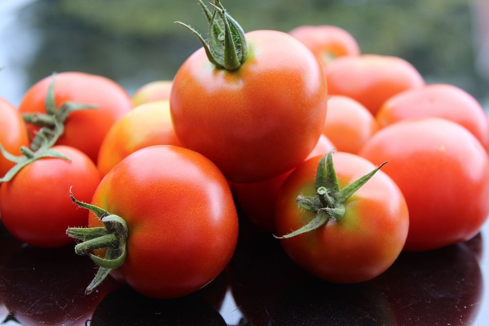 Closeup on cherry tomatoes. Free public domain CC0 image.