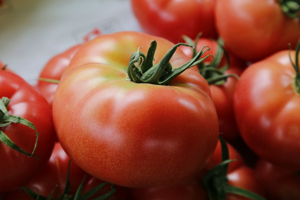 Tomatoes, vegetables. Free public domain CC0 image