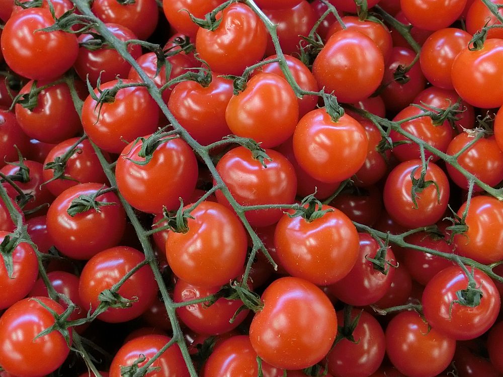 Pile of fresh cherry tomatoes. Free public domain CC0 image. 