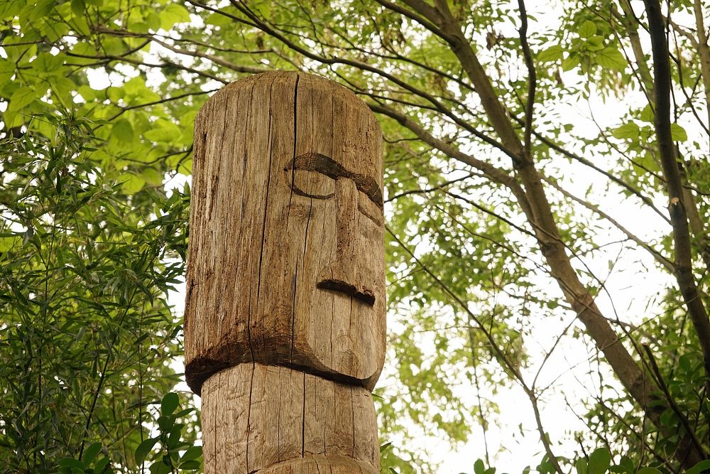 Totem pole pile fig. Free public domain CC0 photo.