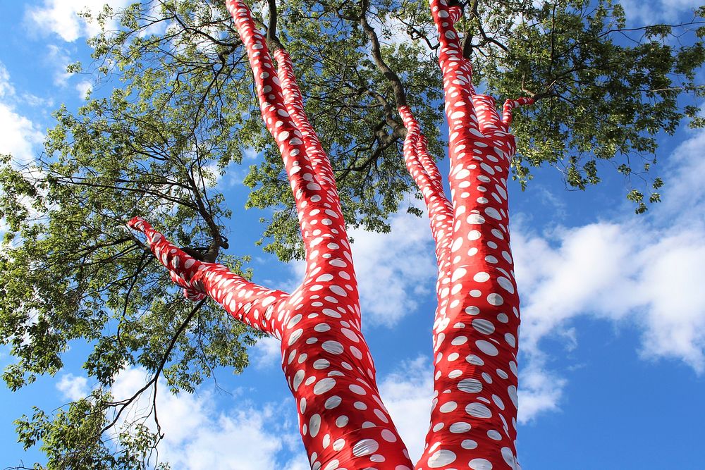 Polka dotted fabric wrapped on tree trunks. Free public domain CC0 photo.