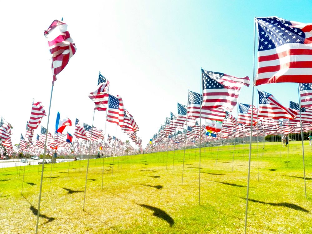 American flags. Free public domain CC0 photo.