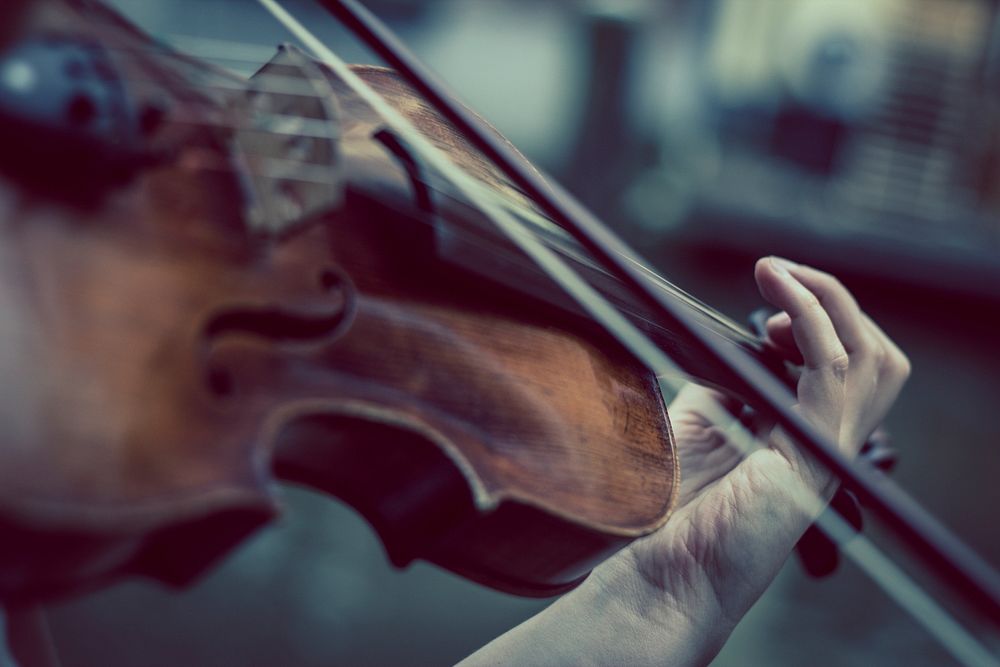 Musician playing the violin. Free public domain CC0 photo.