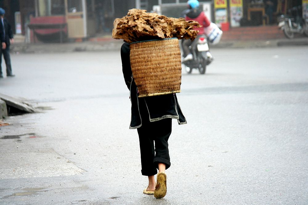 Vietnamese woman carrying wood. Free public domain CC0 photo.