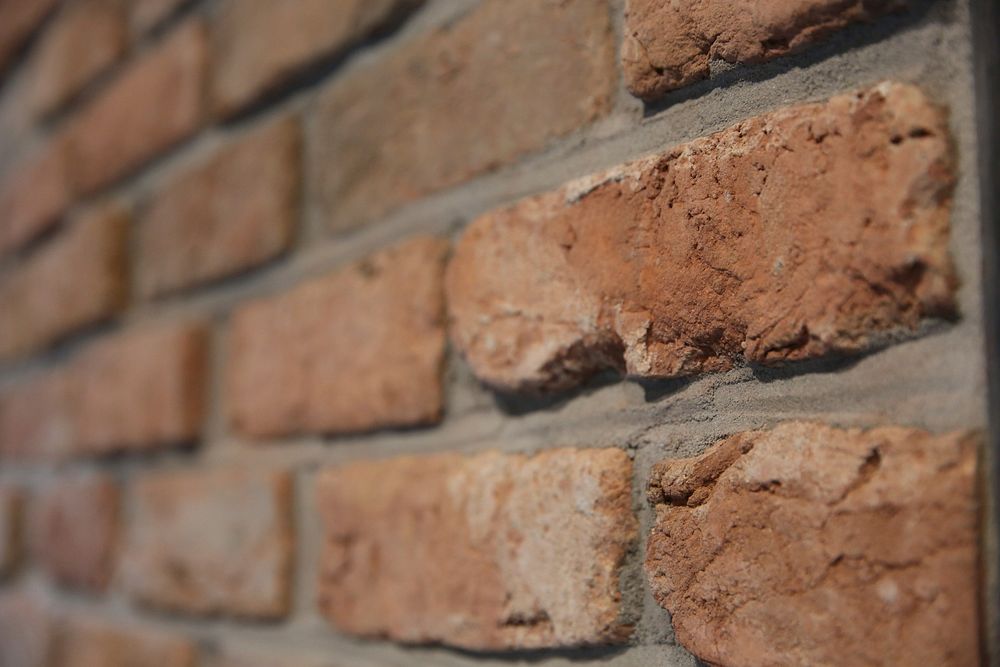 Brick wall texture. Free public domain CC0 photo.