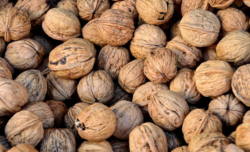 Untreated walnuts. Free public domain CC0 image