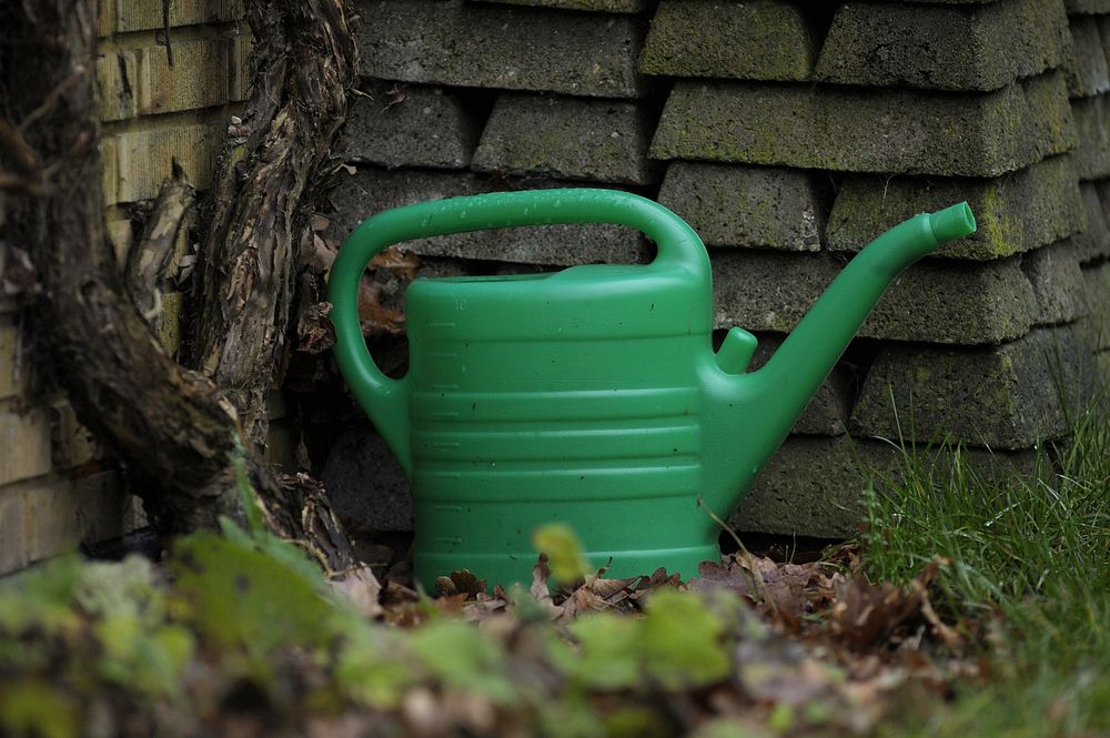 Green watering can in garden. Free public domain CC0 photo.