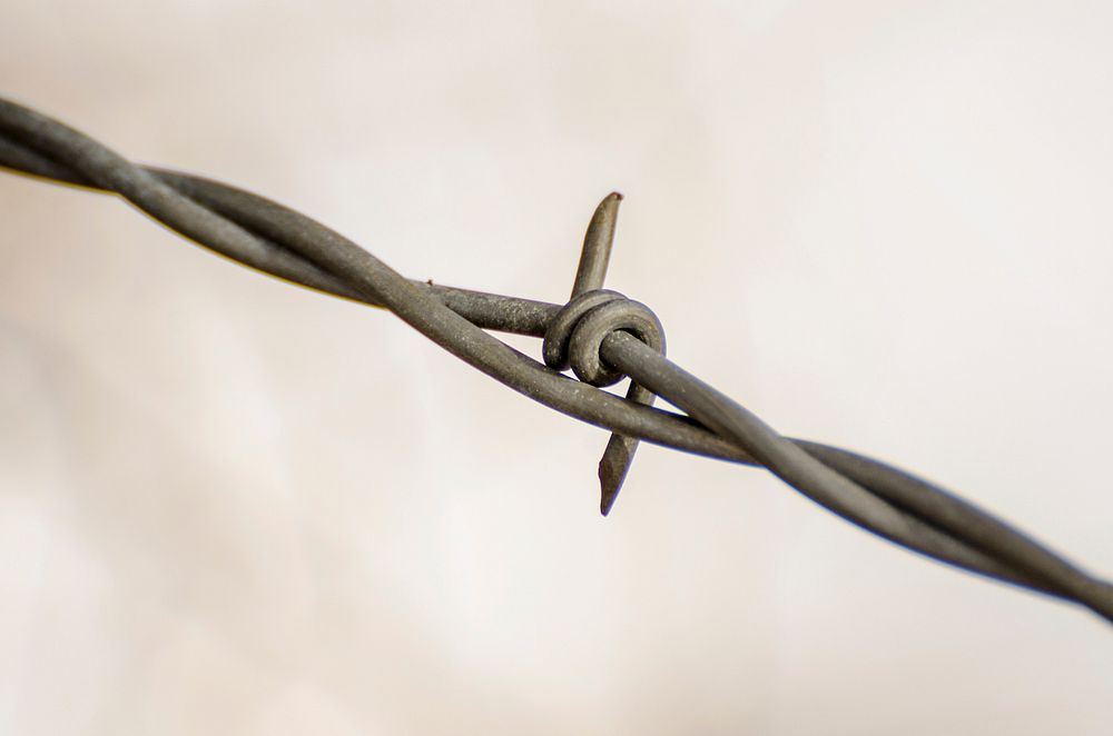 Barbed wire frence. Free public domain CC0 photo