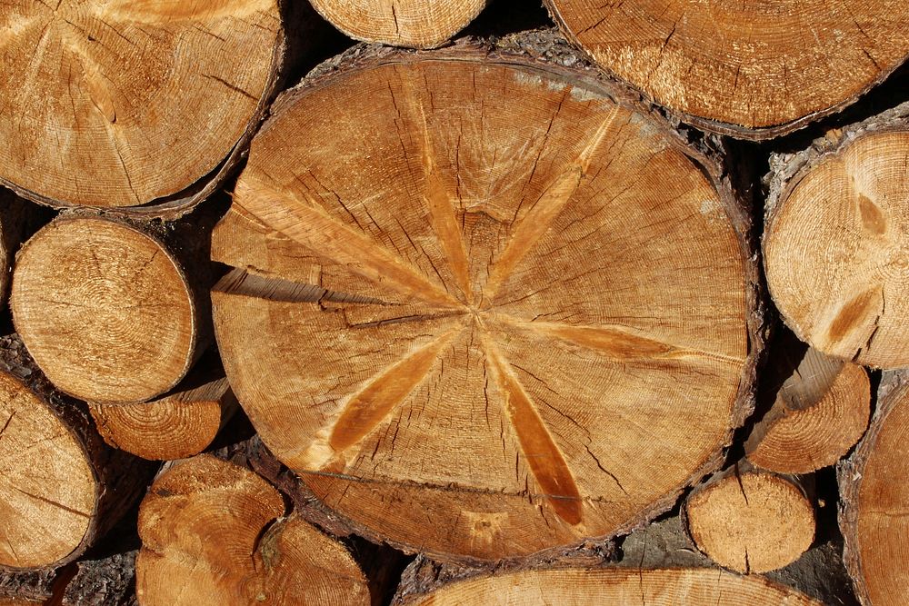 Stack of firewood timber. Free public domain CC0 image