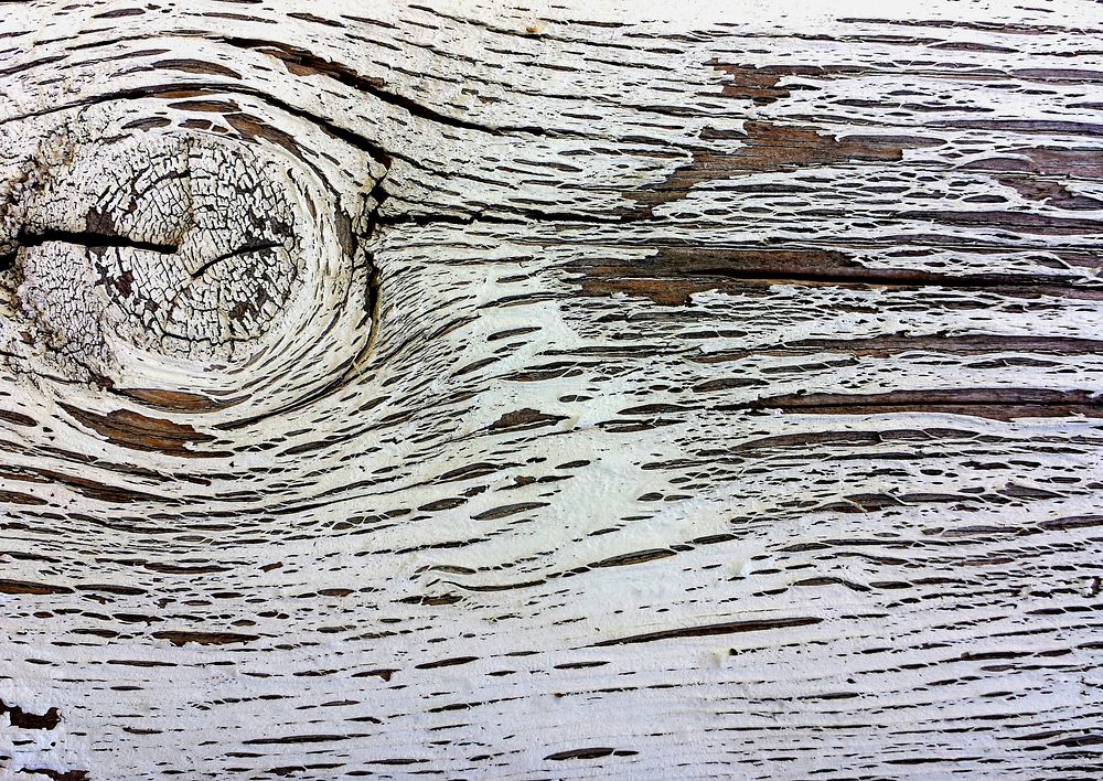 Wood texture background. Free public domain CC0 photo.