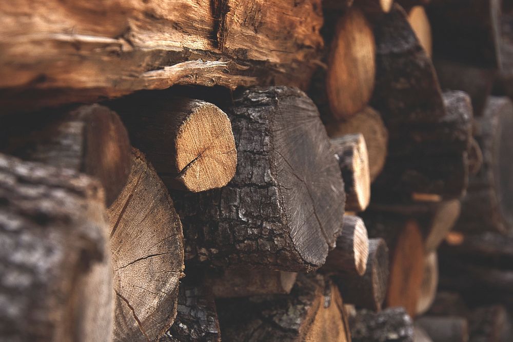 Wood cut cross section background. Free public domain CC0 photo.