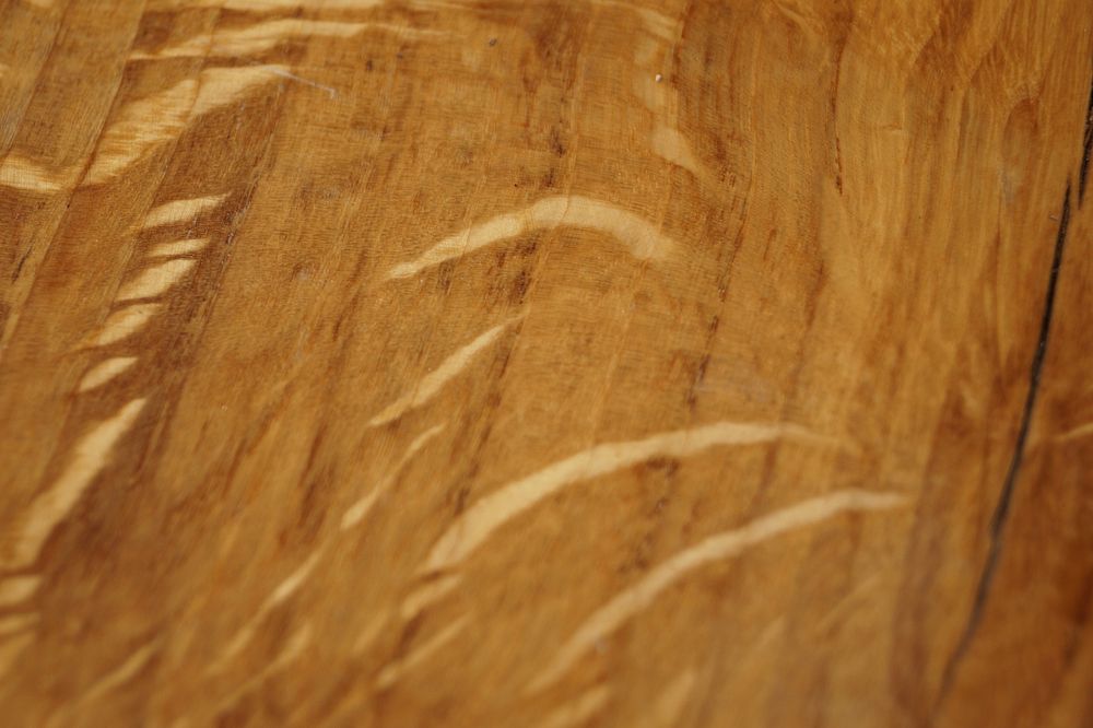 Wood texture. Free public domain CC0 photo.