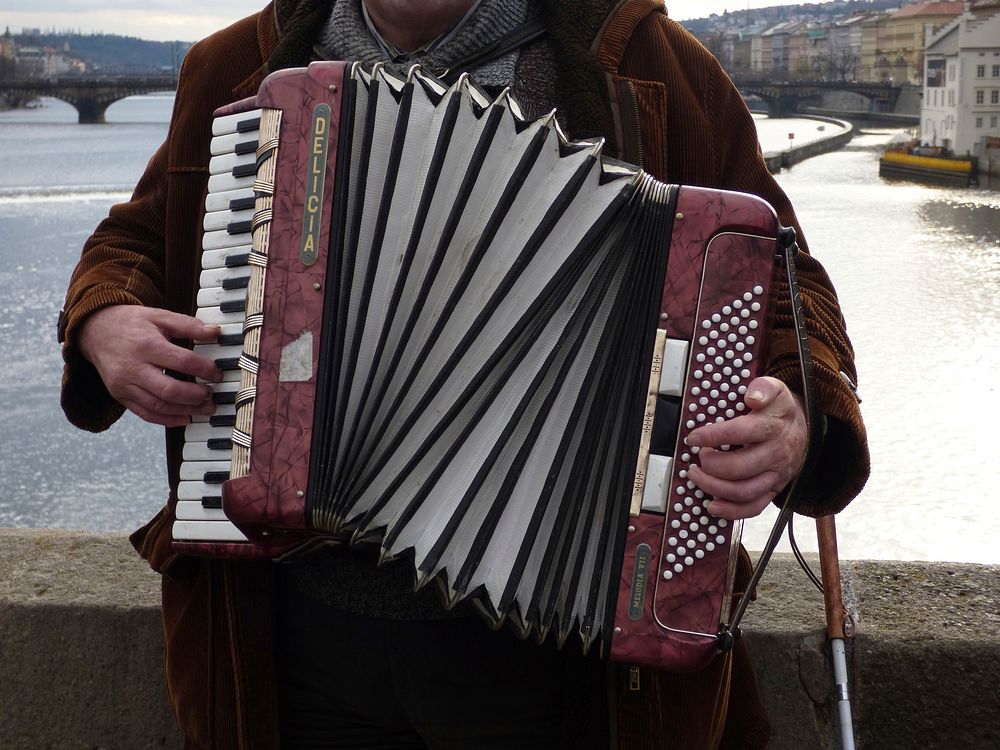 Musician playing accordion, musical instrument. Free public domain CC0 photo.