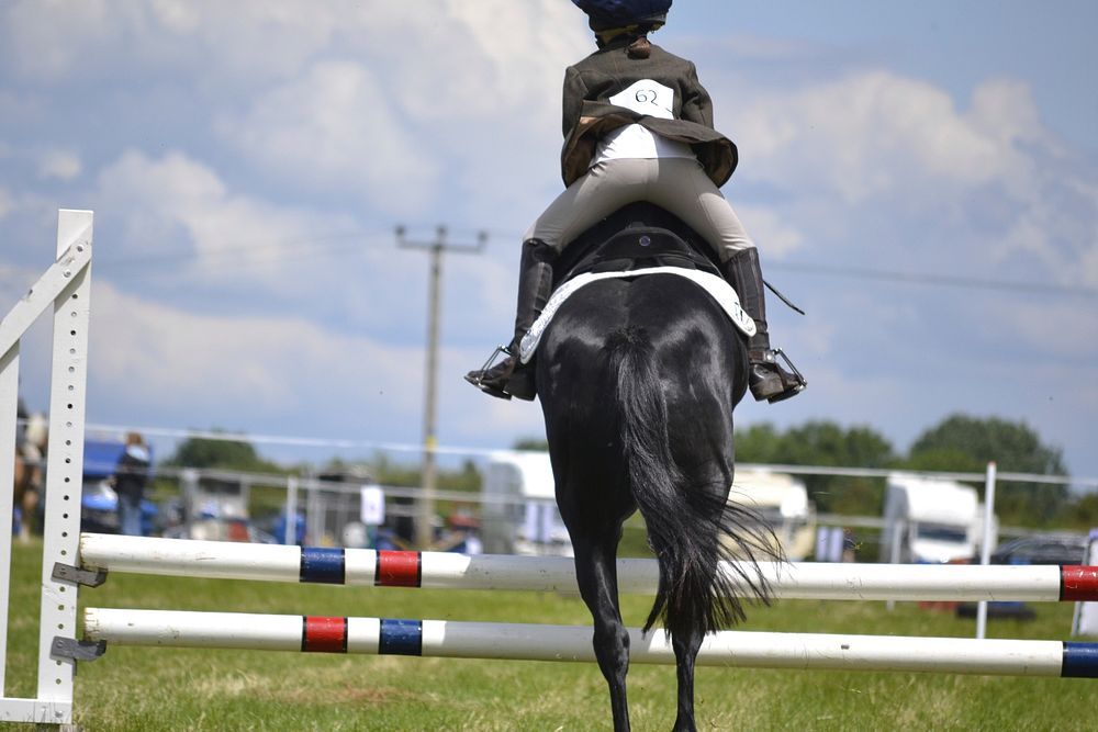 Show jumping horse & rider. Free public domain CC0 photo.