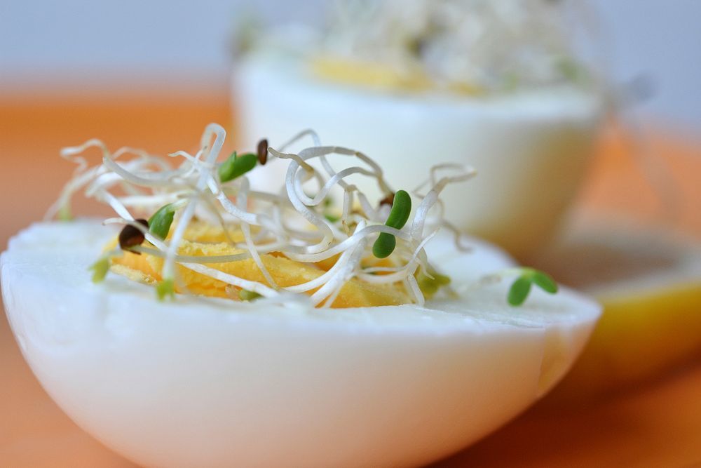Halved boiled egg with bean sprouts. Free public domain CC0 image