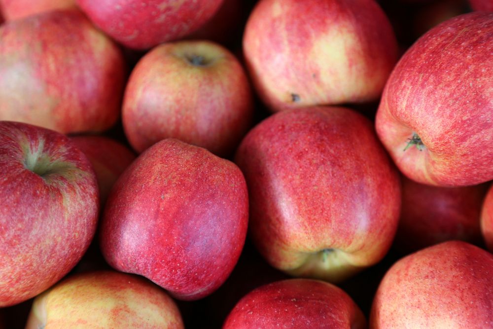 Closeup on pile of red apples. Free public domain CC0 photo.