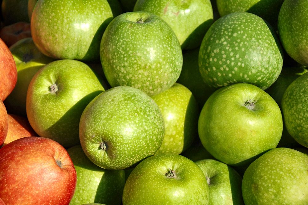 Closeup on pile of green apples. Free public domain CC0 photo.