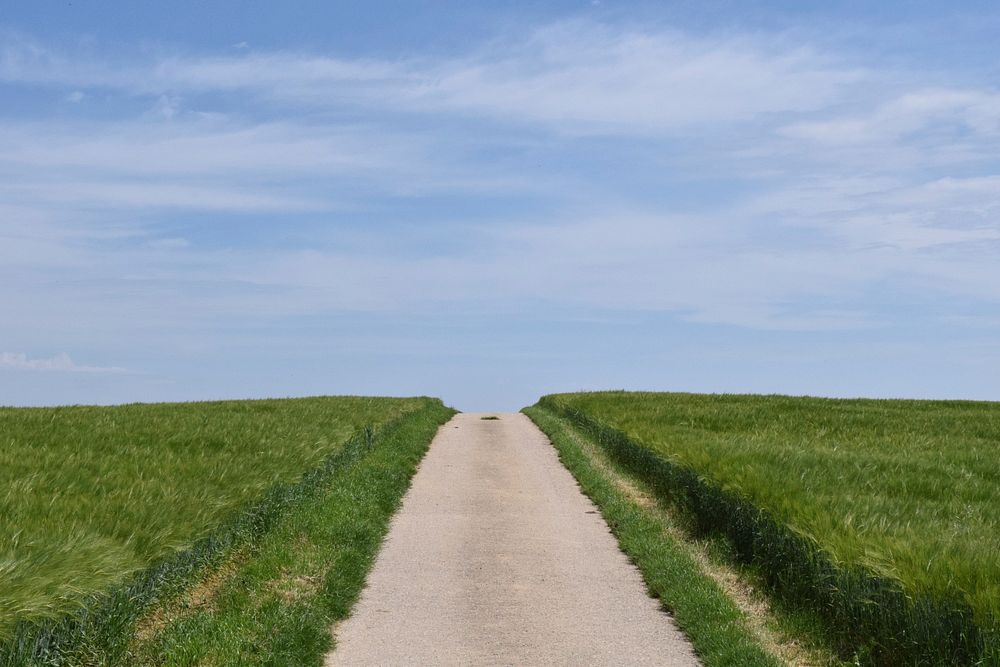 Rural road, nature landscape. Free public domain CC0 image.