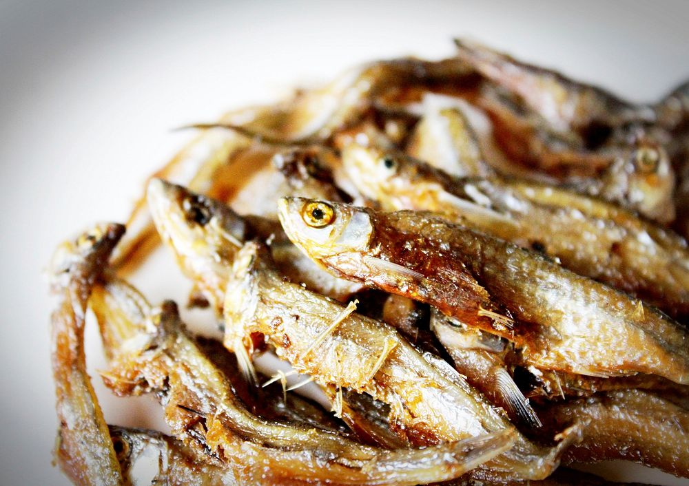 Dried Anchovy fish. Free public domain CC0 image