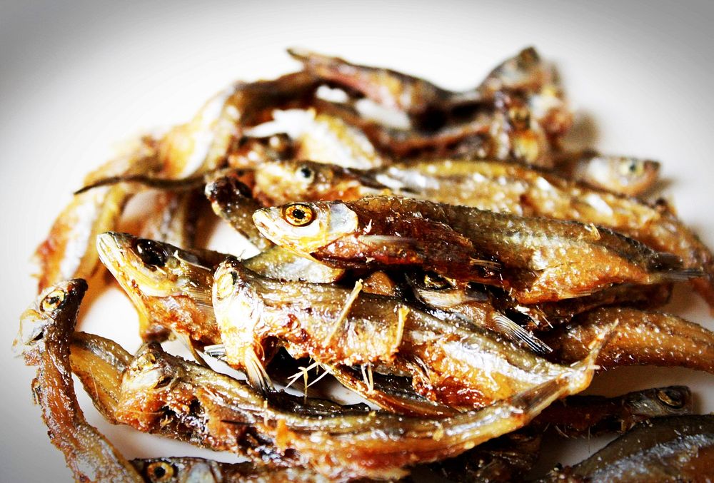 Dried Anchovy fish. Free public domain CC0 image