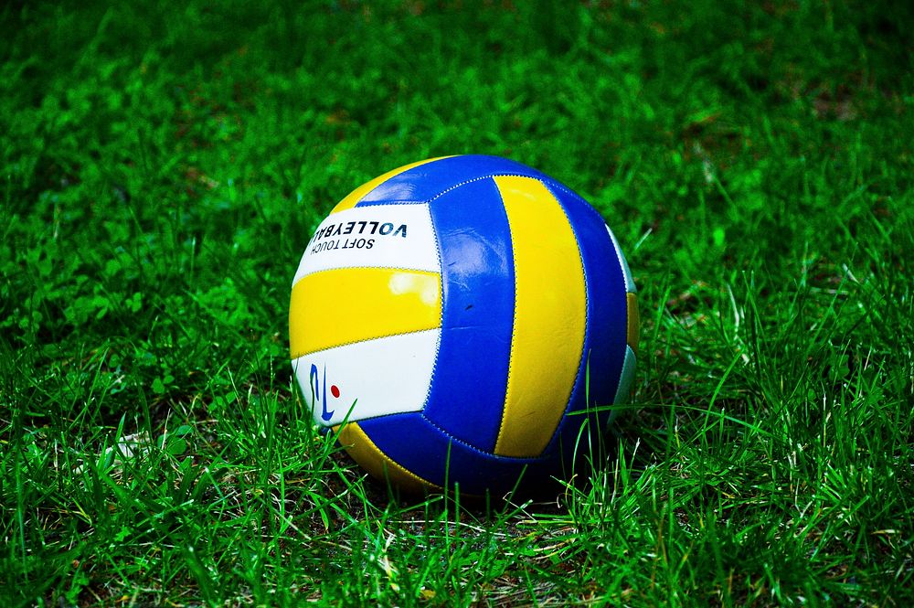Closeup on volleyball in grass. Free public domain CC0 photo.