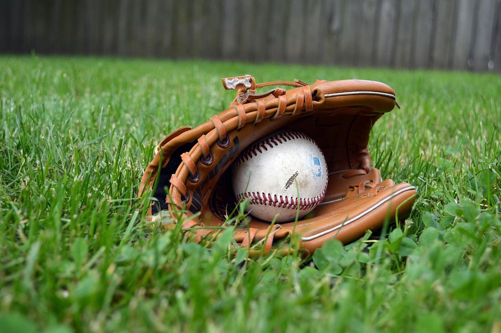 Baseball in a mitt on grass. Free public domain CC0 photo.
