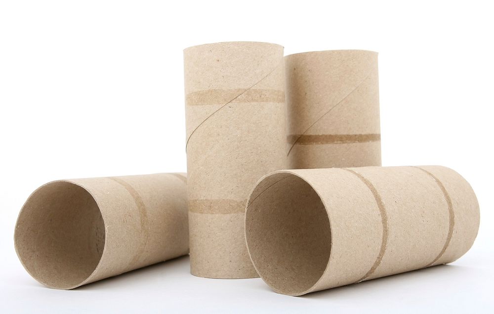 Brown empty tissue roll. Free public domain CC0 photo.