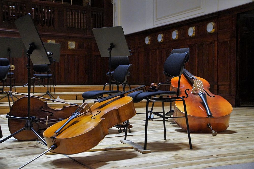 Cello, musical instrument. Free public domain CC0 photo.