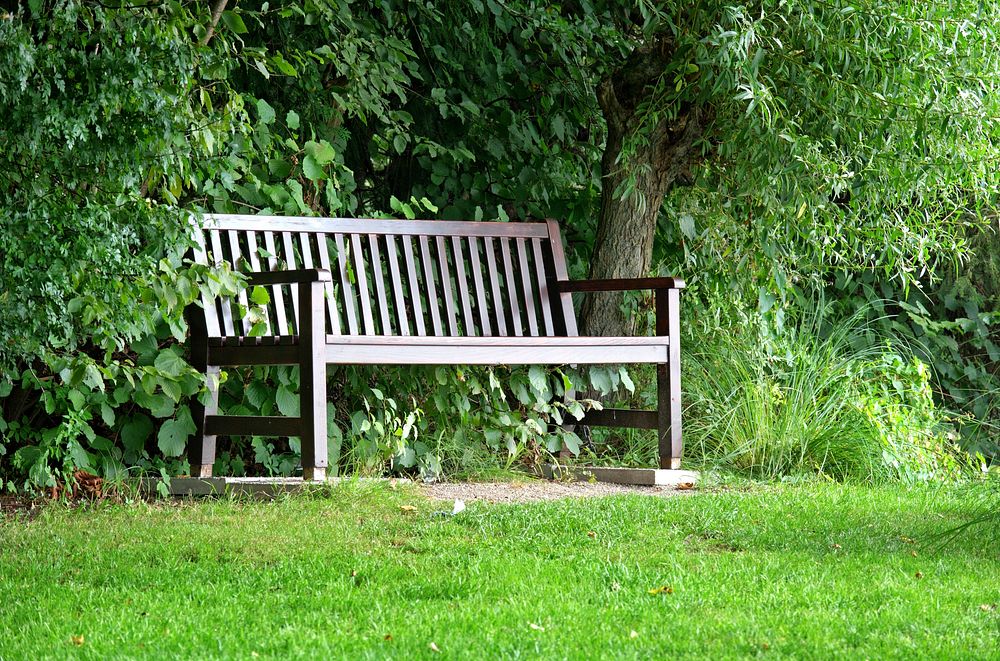 Wooden bench in the park. Free public domain CC0 photo.