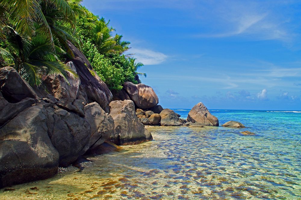 Beach shore in Seychelles. Free public domain CC0 photo.