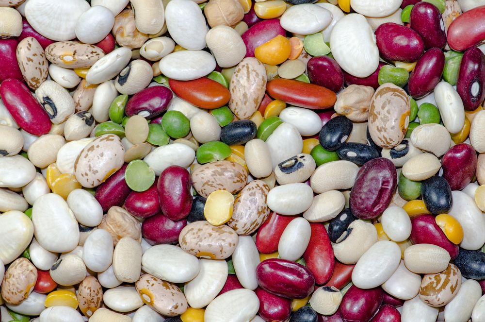 Legume beans. Free public domain CC0 image