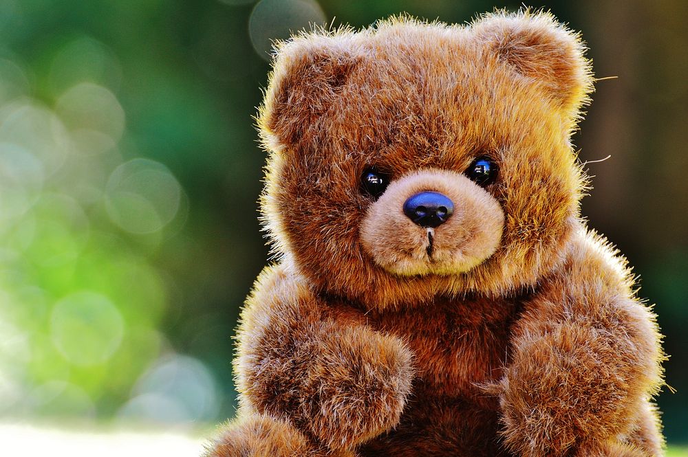 Cute teddy bear, stuffed animal background. Free public domain CC0 photo.