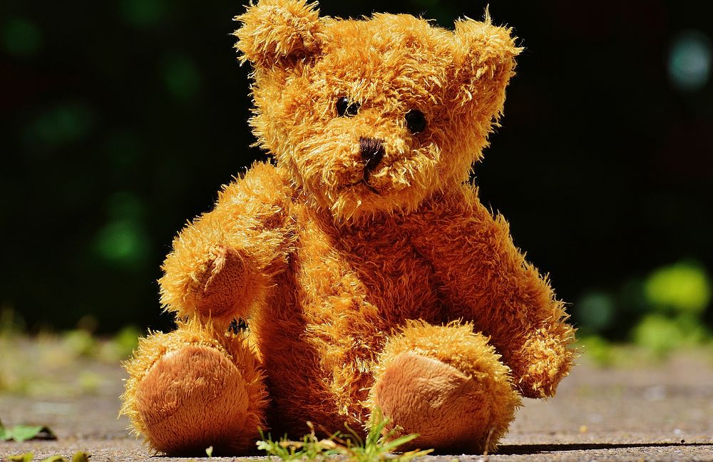 Cute teddy bear, stuffed animal background. Free public domain CC0 photo.