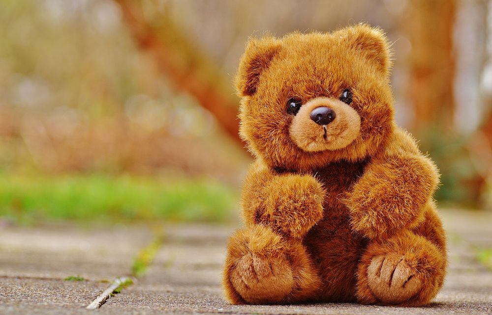 Cute teddy bear, stuffed animal background. Free public domain CC0 photo.