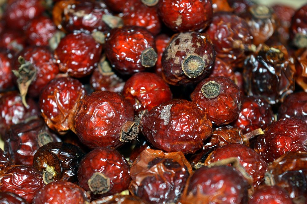 Pile of dried rosehips. Free public domain CC0 image.
