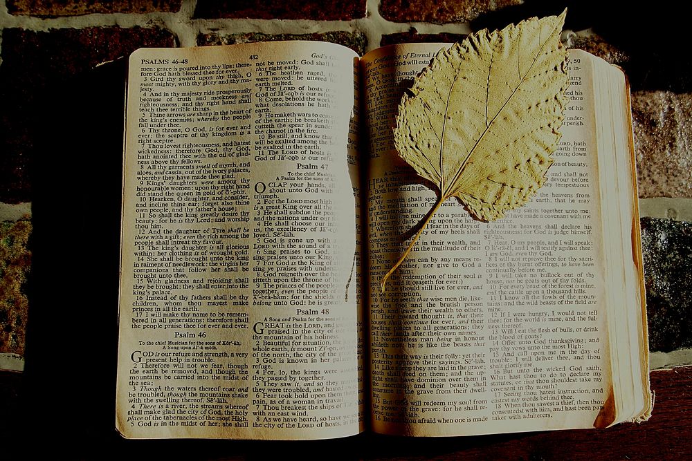 Ancient bible book. Free public domain CC0 photo