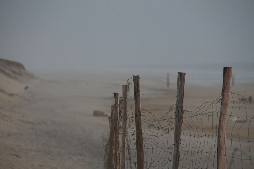 Biscarrosse Atlantic dune coast. Free public domain CC0 photo.