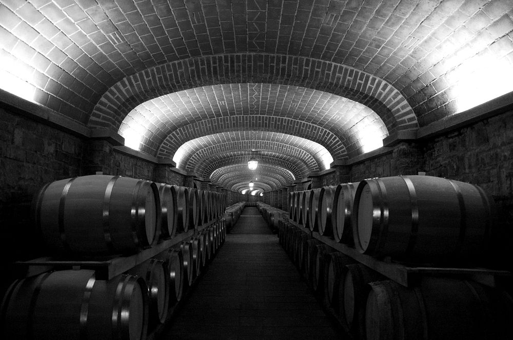Wine barrel storage room. Free public domain CC0 image.
