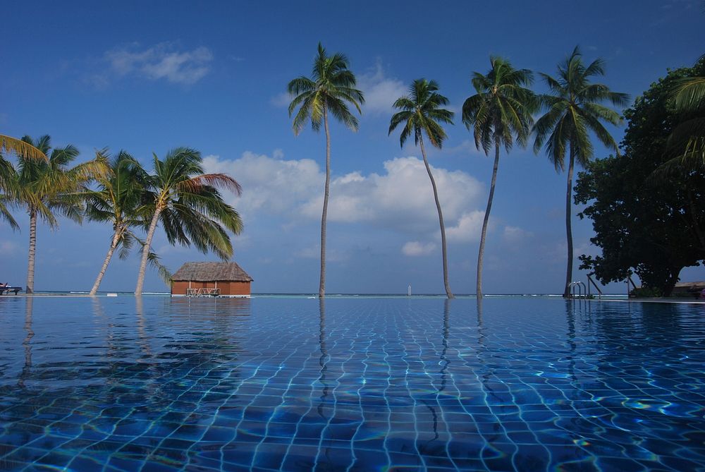 Exotic Maldives pool resort. Free public domain CC0 photo.