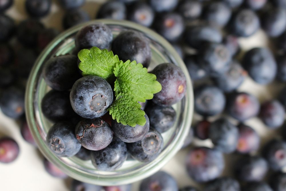 Closeup on blueberries in jar. Free public domain CC0 photo.