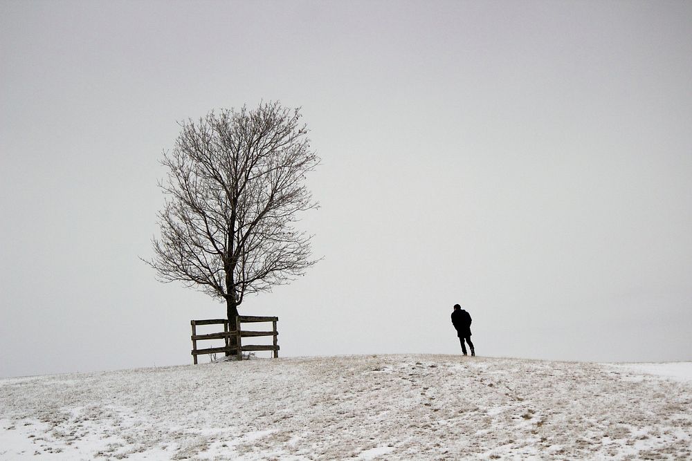 A figure and a tree on a snowy hill with foggy background